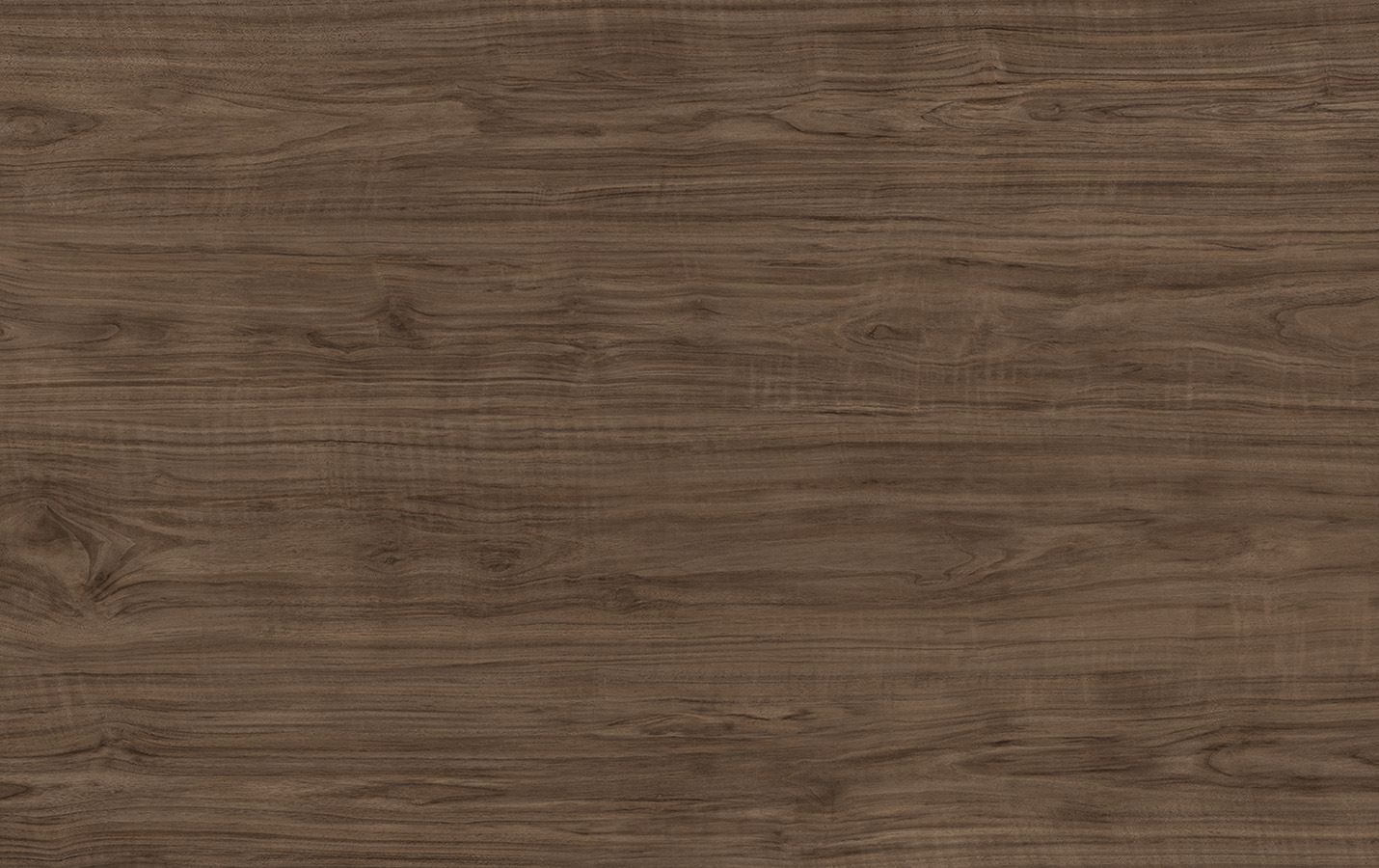 Black Walnut